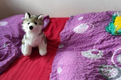 IMG_20210809_101759