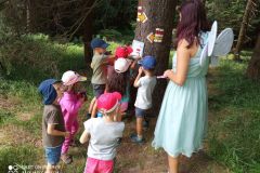 IMG_20210809_150613