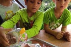 IMG_20210811_164144