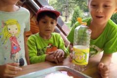 IMG_20210811_164159