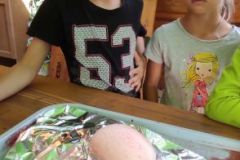 IMG_20210811_164213